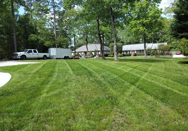 Freeman Lawn Services